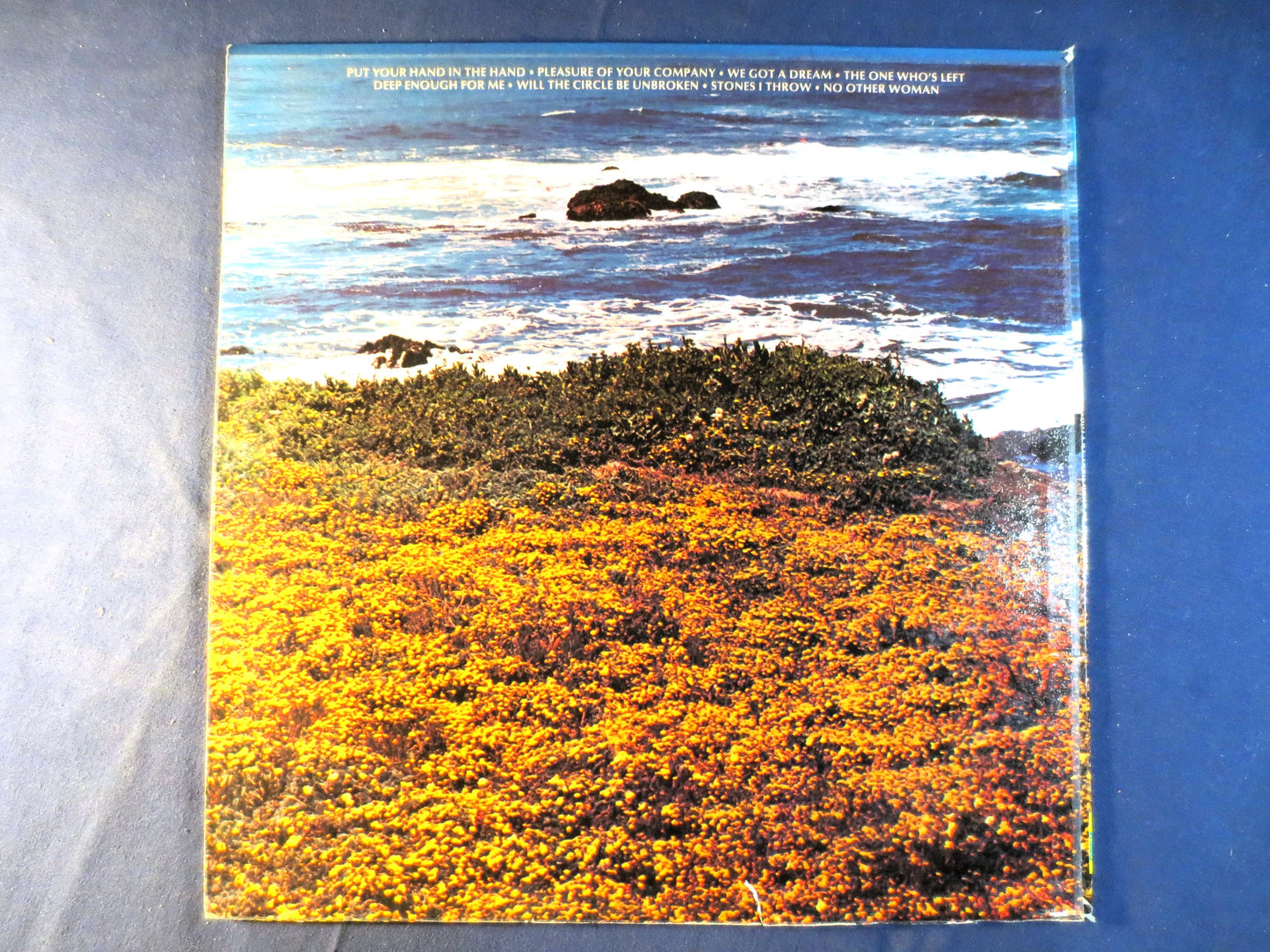 OCEAN, Put Your HAND in the HAND, Ocean Records, Ocean Albums, Ocean Lps, Vinyl Records, Folk Records, Vinyl, 1971 Records
