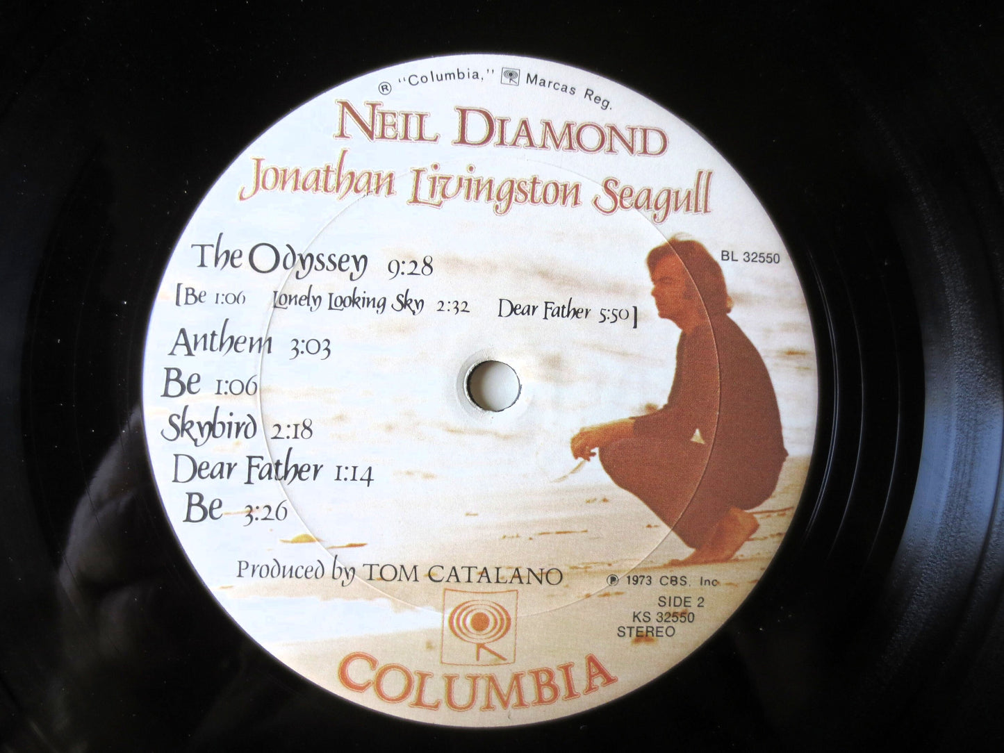 NEIL DIAMOND, Jonathan Livingston Seagull, Neil Diamond Record, Neil Diamond lps, lps, Pop Vinyl, Vinyl Album, 1973 Records
