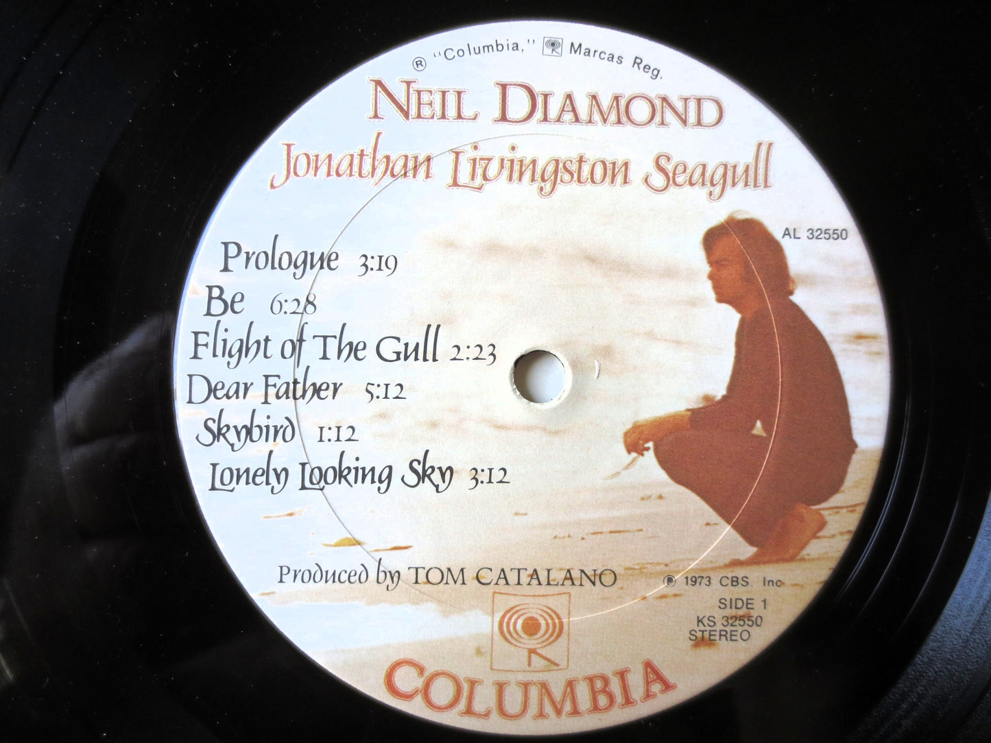 NEIL DIAMOND, Jonathan Livingston Seagull, Neil Diamond Record, Neil Diamond lps, lps, Pop Vinyl, Vinyl Album, 1973 Records