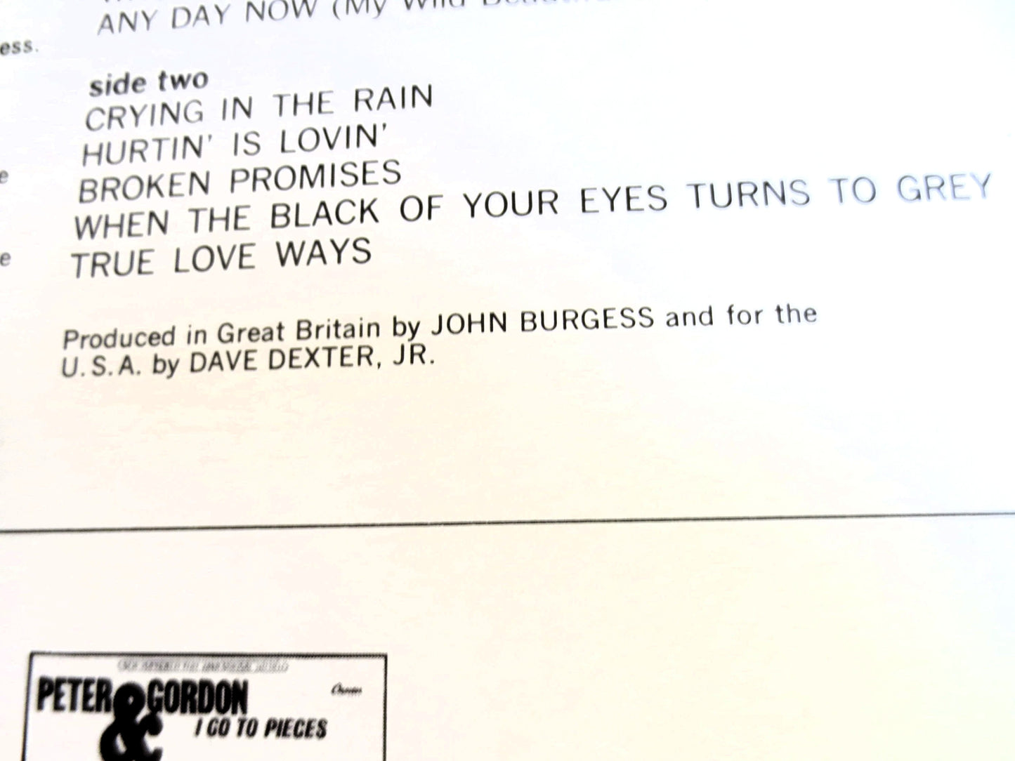 PETER and GORDON, True LOVE Ways, Peter and Gordon Lp, Pop Records, Pop Rock Records, Pop Rock Album, 60s Music Record, Lps, 1965 Records