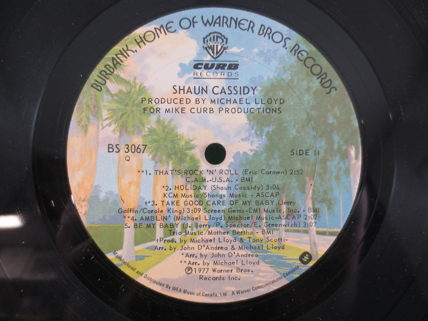 SHAUN CASSIDY Record, Shaun Cassidy, Shaun Cassidy Album, Shaun Cassidy Lp, Vintage Vinyl, Vinyl Pop, 1977 Records