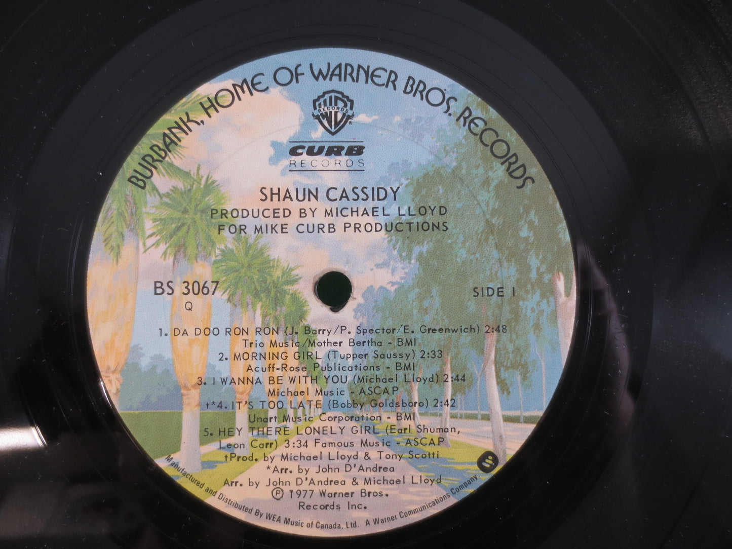 SHAUN CASSIDY Record, Shaun Cassidy, Shaun Cassidy Album, Shaun Cassidy Lp, Vintage Vinyl, Vinyl Pop, 1977 Records