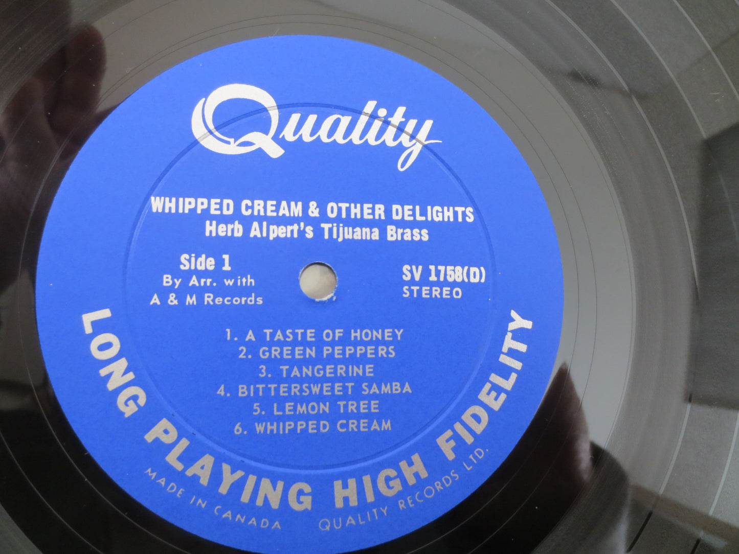 HERB ALPERT, WHIPPED Cream, Herb Alpert Record, Herb Alpert Album, Herb Alpert Vinyl, Herb Alpert Lp, Vintage Vinyl, Vintage Records, 1965 Records