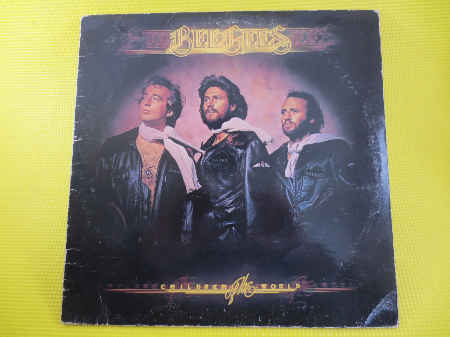 The BEE GEES, CHILDREN of the World, The Bee Gees Album, The Bee Gees Vinyl, The Bee Gees Lp, Vintage Vinyl, Vintage Records, 1976 Records