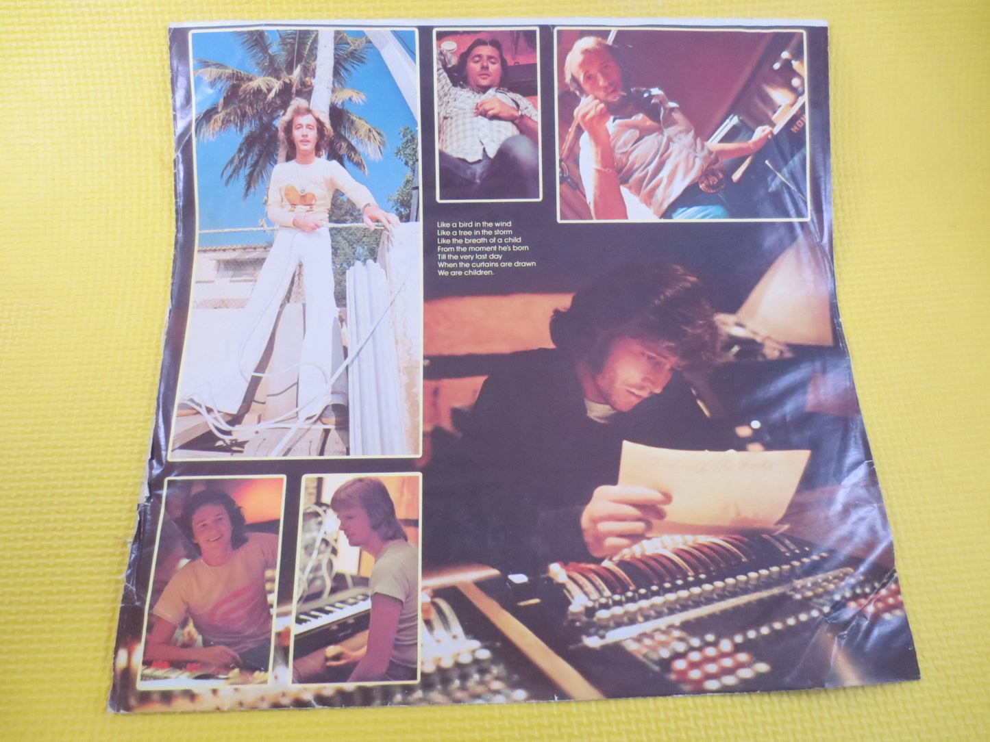 The BEE GEES, CHILDREN of the World, The Bee Gees Album, The Bee Gees Vinyl, The Bee Gees Lp, Vintage Vinyl, Vintage Records, 1976 Records