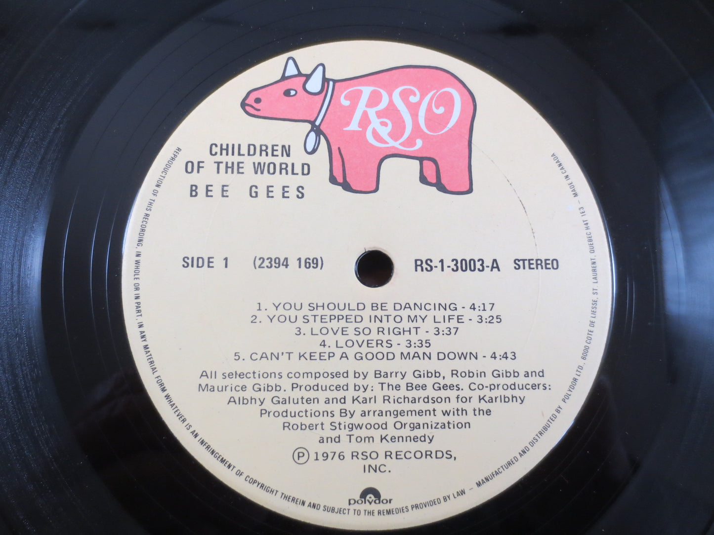 The BEE GEES, CHILDREN of the World, The Bee Gees Album, The Bee Gees Vinyl, The Bee Gees Lp, Vintage Vinyl, Vintage Records, 1976 Records