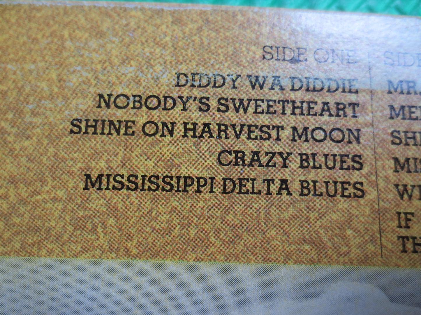 LEON REDBONE, DOUBLE Time, Leon Redbone Record, Leon Redbone Album, Leon Redbone Lp, Delta Blues Album, Delta Blues Record, 1977 Records