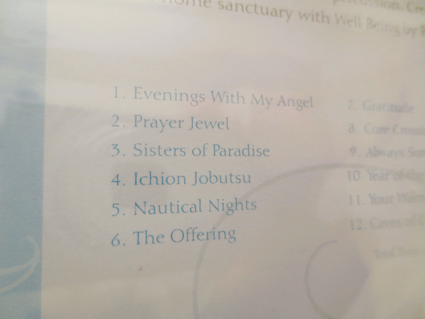 WELL BEING, Factory SEALED, Meditation Music, 2006 Compact Disc, Vintage Cd