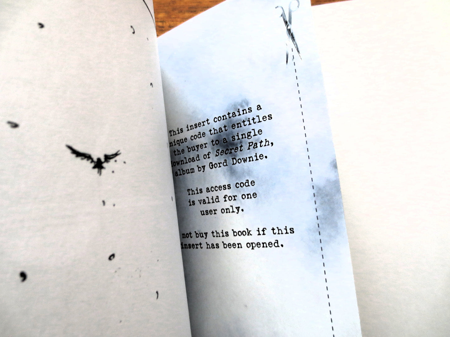 SECRET PATH by Gord Downie & Jeff Lemire - Includes Unused Album Download Code, The Tragically Hip