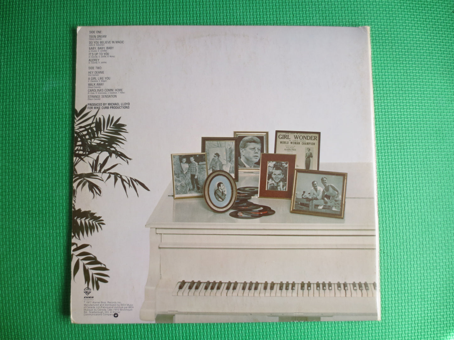 SHAUN CASSIDY, BORN Late, Shaun Cassidy Record, Shaun Cassidy Vinyl, Shaun Cassidy Album, Shaun Cassidy Lp, Vintage Records, Lp, 1977 Record