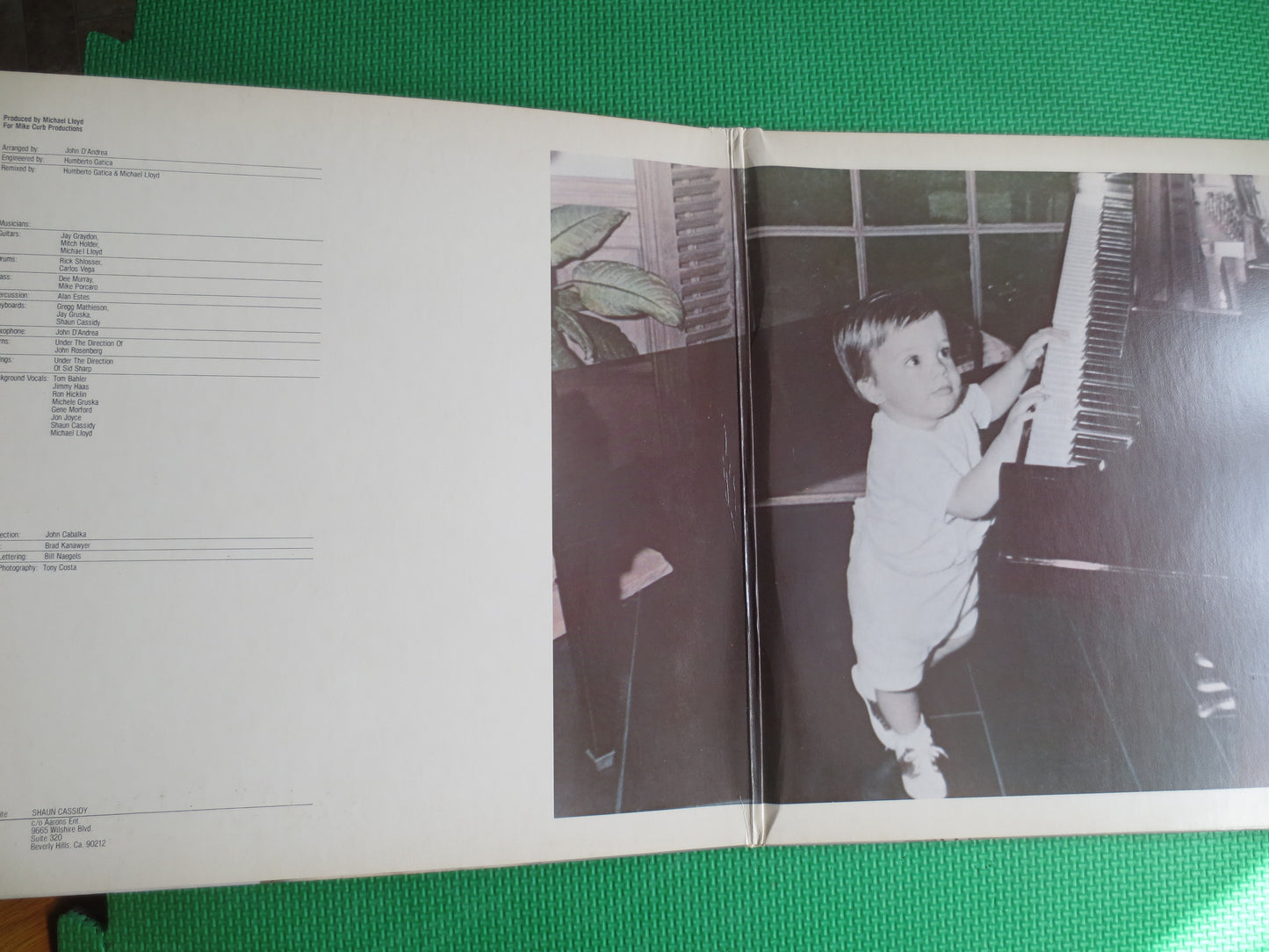 SHAUN CASSIDY, BORN Late, Shaun Cassidy Record, Shaun Cassidy Vinyl, Shaun Cassidy Album, Shaun Cassidy Lp, Vintage Records, Lp, 1977 Record