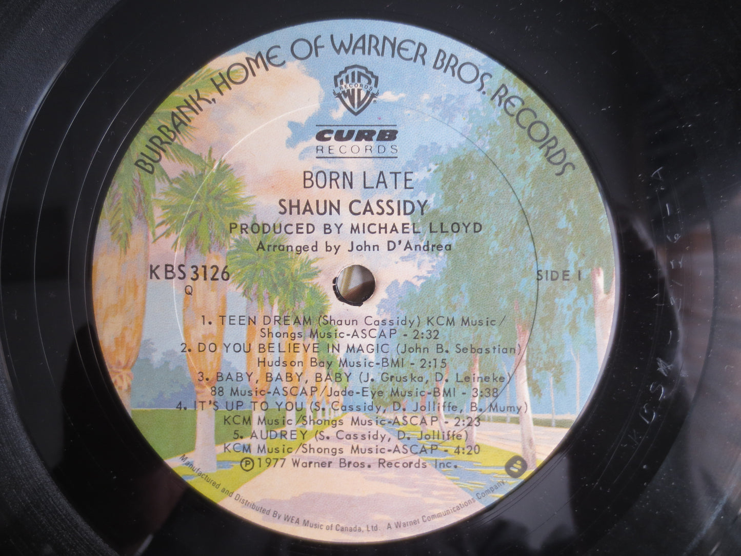 SHAUN CASSIDY, BORN Late, Shaun Cassidy Record, Shaun Cassidy Vinyl, Shaun Cassidy Album, Shaun Cassidy Lp, Vintage Records, Lp, 1977 Record