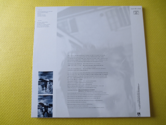 Vintage Records, STING Records, The DREAM of the Blue TURTLES, Sting Albums, Sting Vinyl, Sting Lps, The Police Record, Lps, 1985 Records