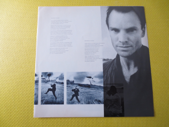 Vintage Records, STING Records, The DREAM of the Blue TURTLES, Sting Albums, Sting Vinyl, Sting Lps, The Police Record, Lps, 1985 Records