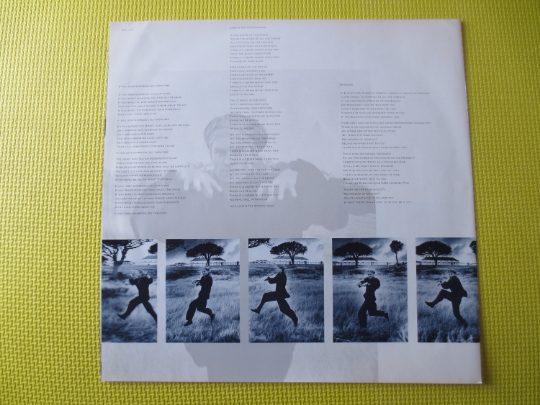 Vintage Records, STING Records, The DREAM of the Blue TURTLES, Sting Albums, Sting Vinyl, Sting Lps, The Police Record, Lps, 1985 Records