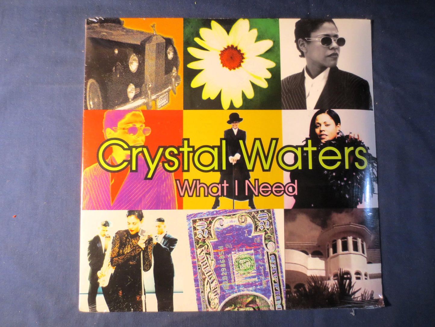CRYSTAL WATERS, Factory SEALED, What I NEED, Crystal Waters Album, Crystal Waters Lp, Pop Records, Vinyl Records, Vinyl Lps, 1994 Records