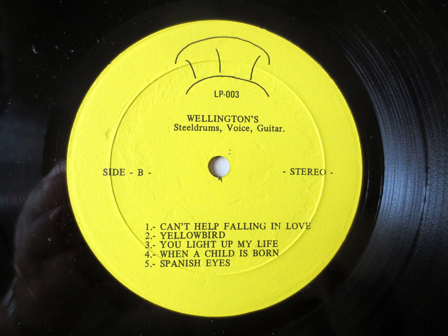 WELLINGTON GIBSON, Steel DRUMS, Reggae Music, Vintage Album, Vinyl Lp
