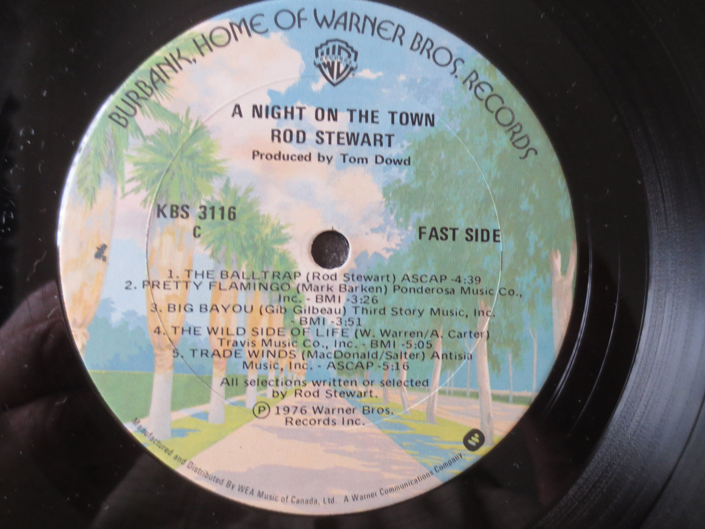 ROD STEWART, A NIGHT On The Town, Rod Stewart Record, Rod Stewart Album, Rod Stewart Lp, Pop Records, Vinyl, 1976 Records