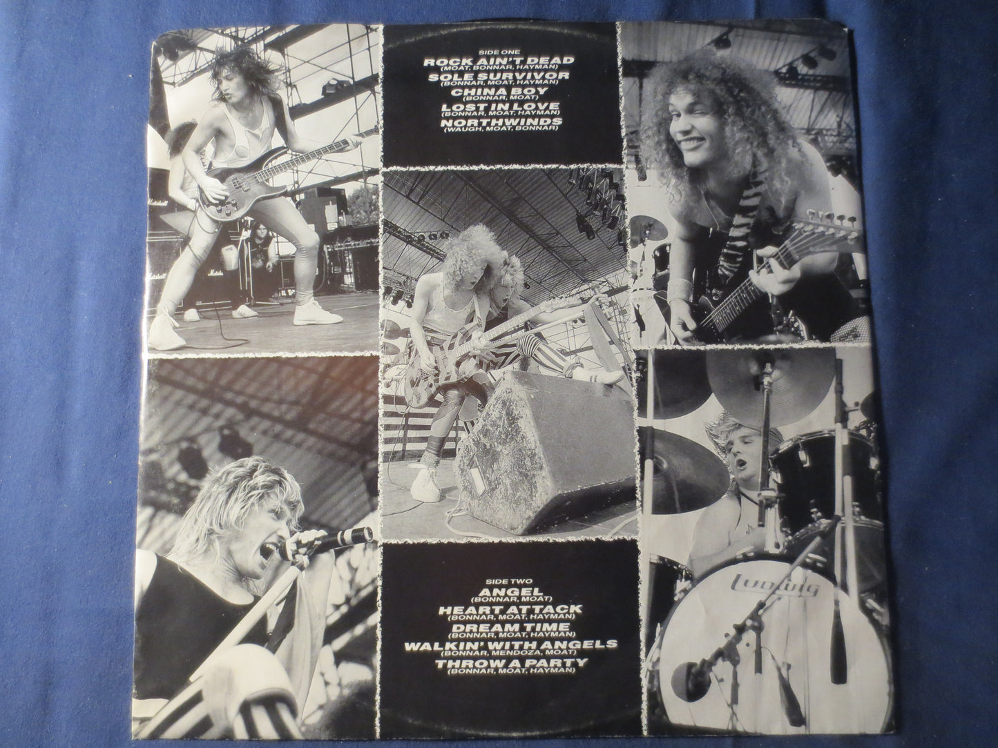 HEAVY PETTIN, ROCK Ain't Dead, Heavy Pettin Record, Heavy Pettin Album, Heavy Pettin Vinyl, Vinyl Lp, Records, 1985 Records