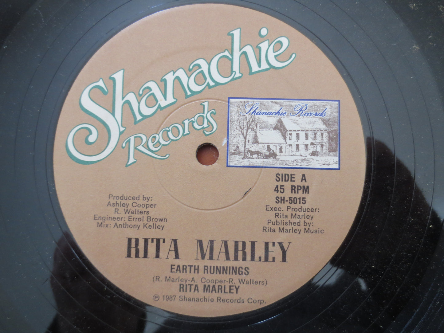 RITA MARLEY, EARTH Runnings, Rita Marley Record, Rita Marley Album, Rita Marley Lp, Reggae Records, Vinyl Lp, 1987 Records