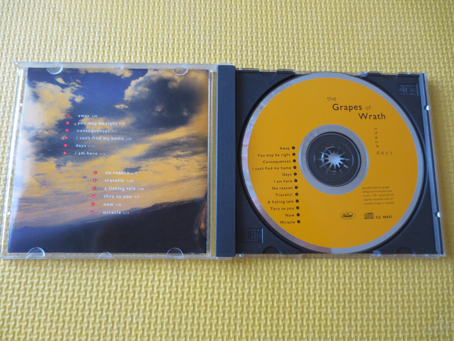 The GRAPES of WRATH, These Days Cd, GRAPES of Wrath Cd, Music Cd, Rock Cd, Pop Music Cd, Vintage Rock Cd, Cd, 1991 Compact Disc