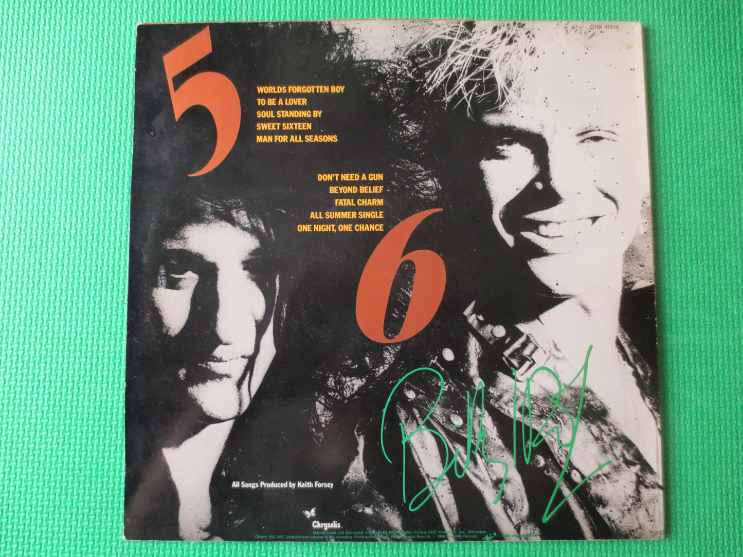 BILLY IDOL, Whiplash Smile, Billy IDOL Album, Billy Idol Vinyl, Vintage Vinyl, Vinyl Lp, Vinyl Records, 1986 Records