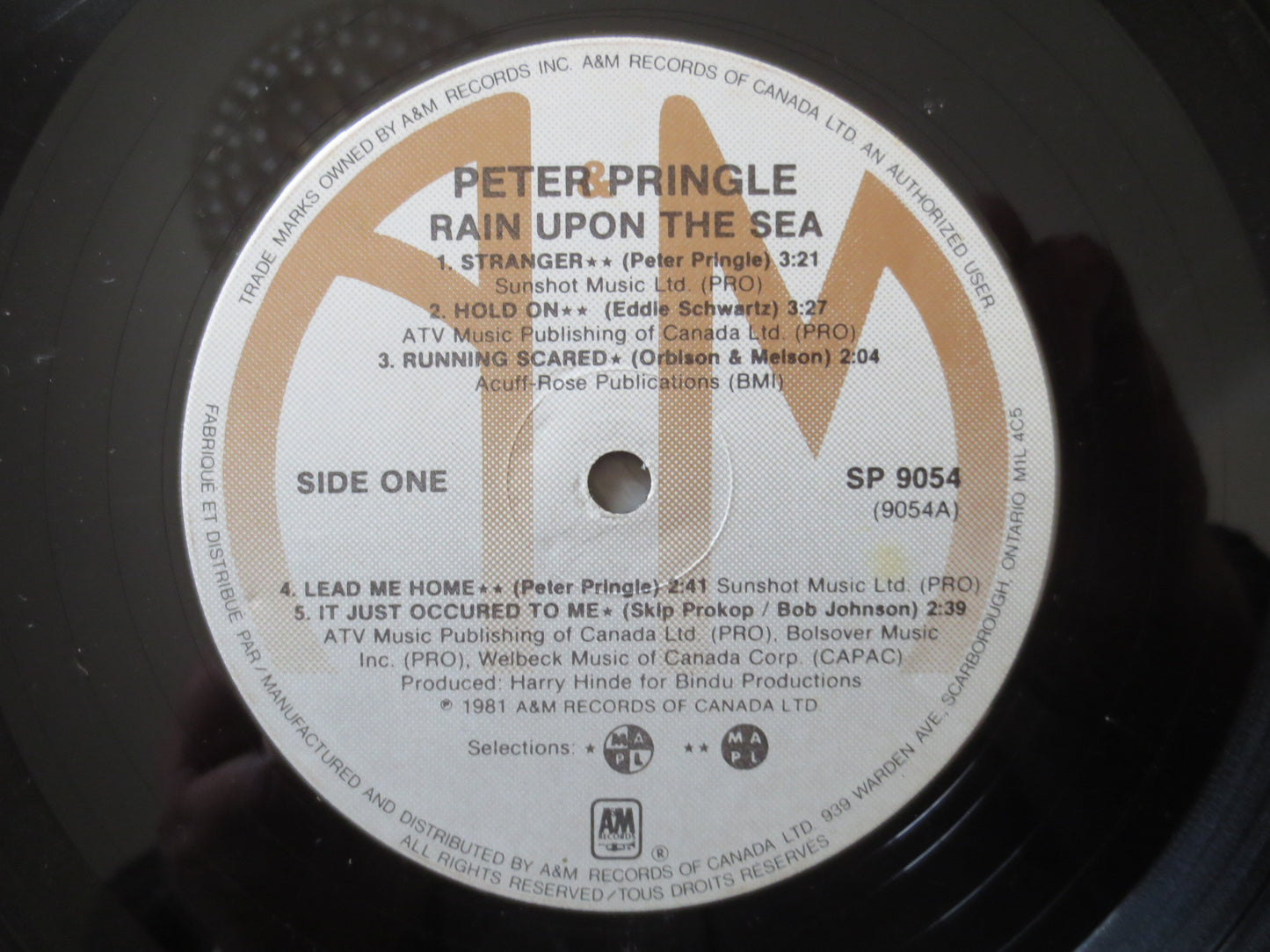 PETER PRINGLE, Rain Upon the Sea, Peter Pringle Album, Peter Pringle Lp, Peter Pringle Record, Vinyl Lp, Lps, 1981 Records