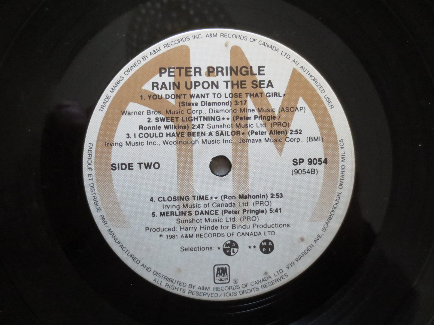PETER PRINGLE, Rain Upon the Sea, Peter Pringle Album, Peter Pringle Lp, Peter Pringle Record, Vinyl Lp, Lps, 1981 Records