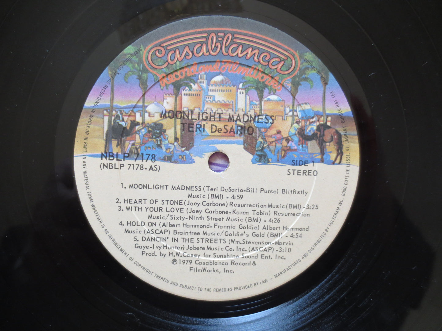 TERRI DE SARIO, Moonlight Madness Lp, Terri De Sario Album, Terri De Sario Vinyl, Disco Record, Disco Lp, 1979 Records