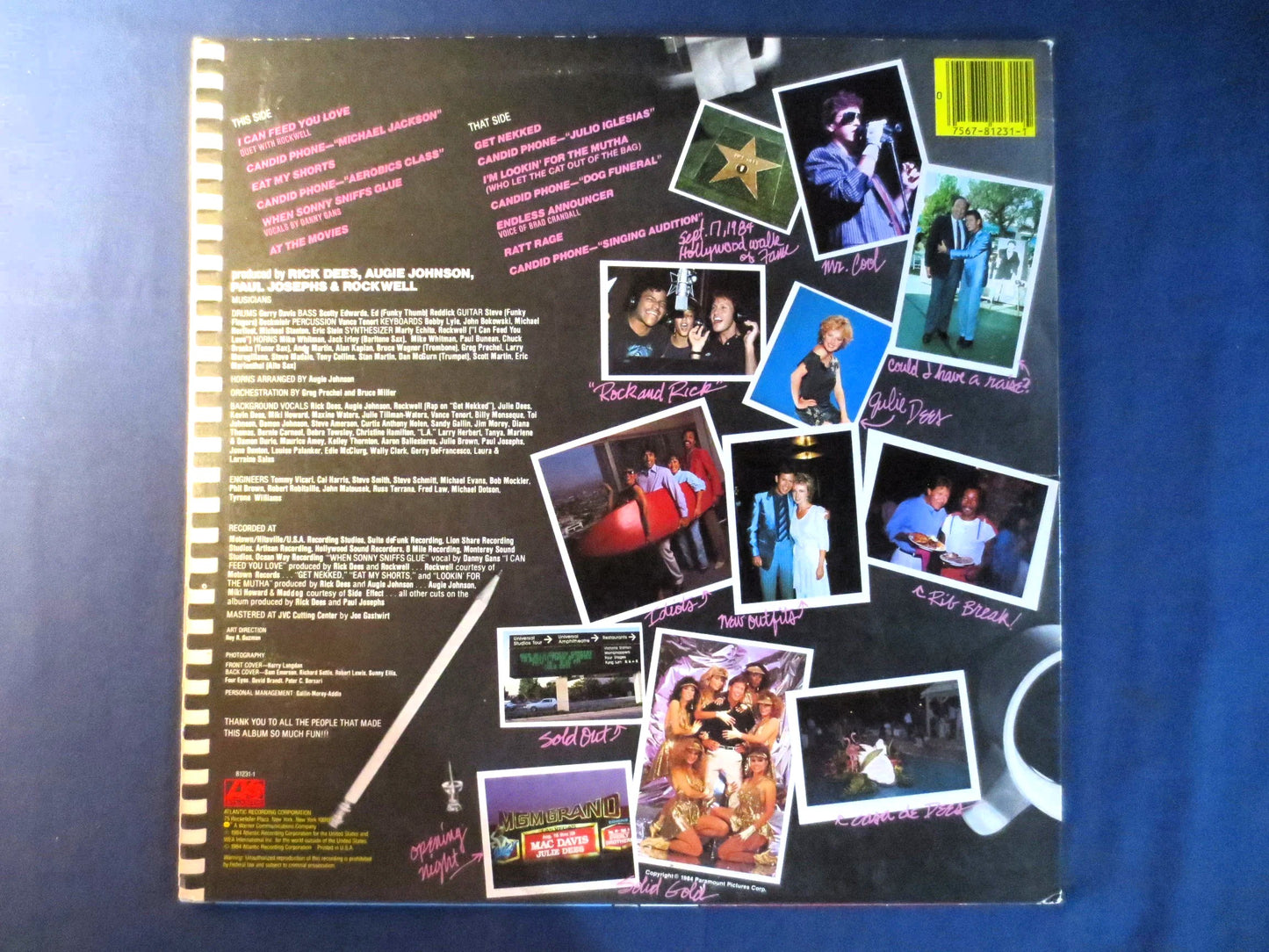 RICK DEES, Put It Where the Sun Don't Shine, Rick Dees Vinyl, Rick Dees Album, Rick Dees Lp, Pop Record,1984 Records