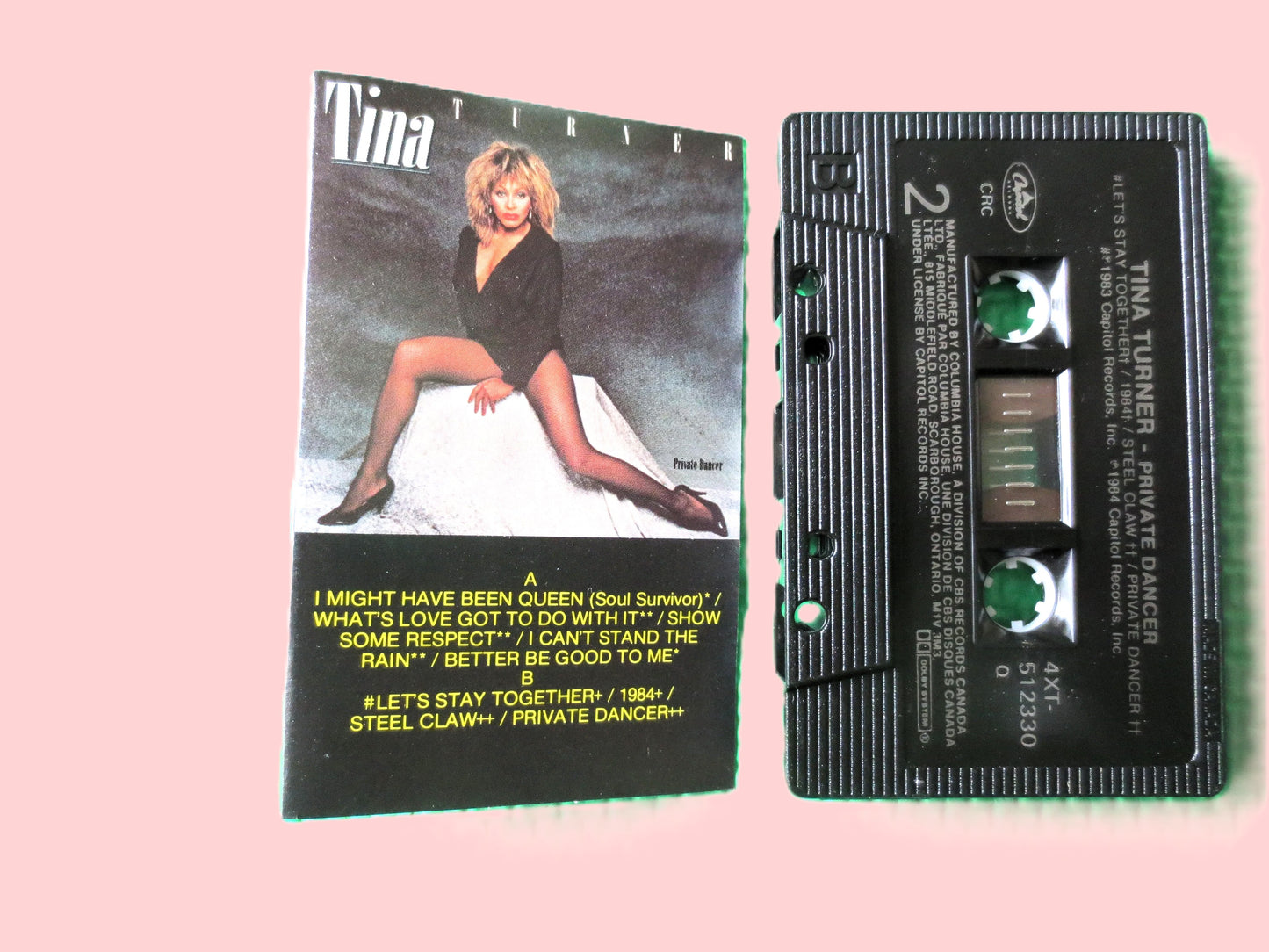 TINA TURNER, Private DANCER, Tina Turner Tape, Tina Turner Album, Tina Turner Cassette, Rock Lp, Tape Cassette, 1984 Cassette