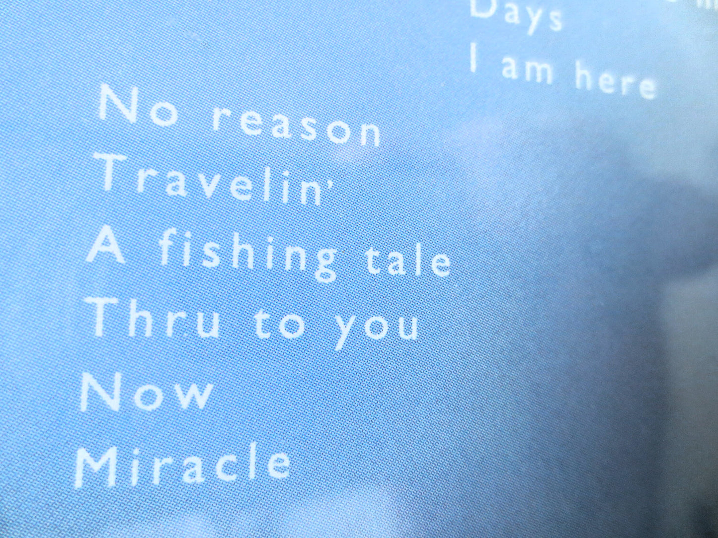 The GRAPES of WRATH, These Days Cd, GRAPES of Wrath Cd, Music Cd, Rock Cd, Pop Music Cd, Vintage Rock Cd, Cd, 1991 Compact Disc