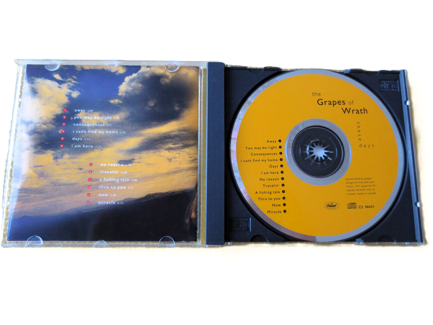 The GRAPES of WRATH, These Days Cd, GRAPES of Wrath Cd, Music Cd, Rock Cd, Pop Music Cd, Vintage Rock Cd, Cd, 1991 Compact Disc