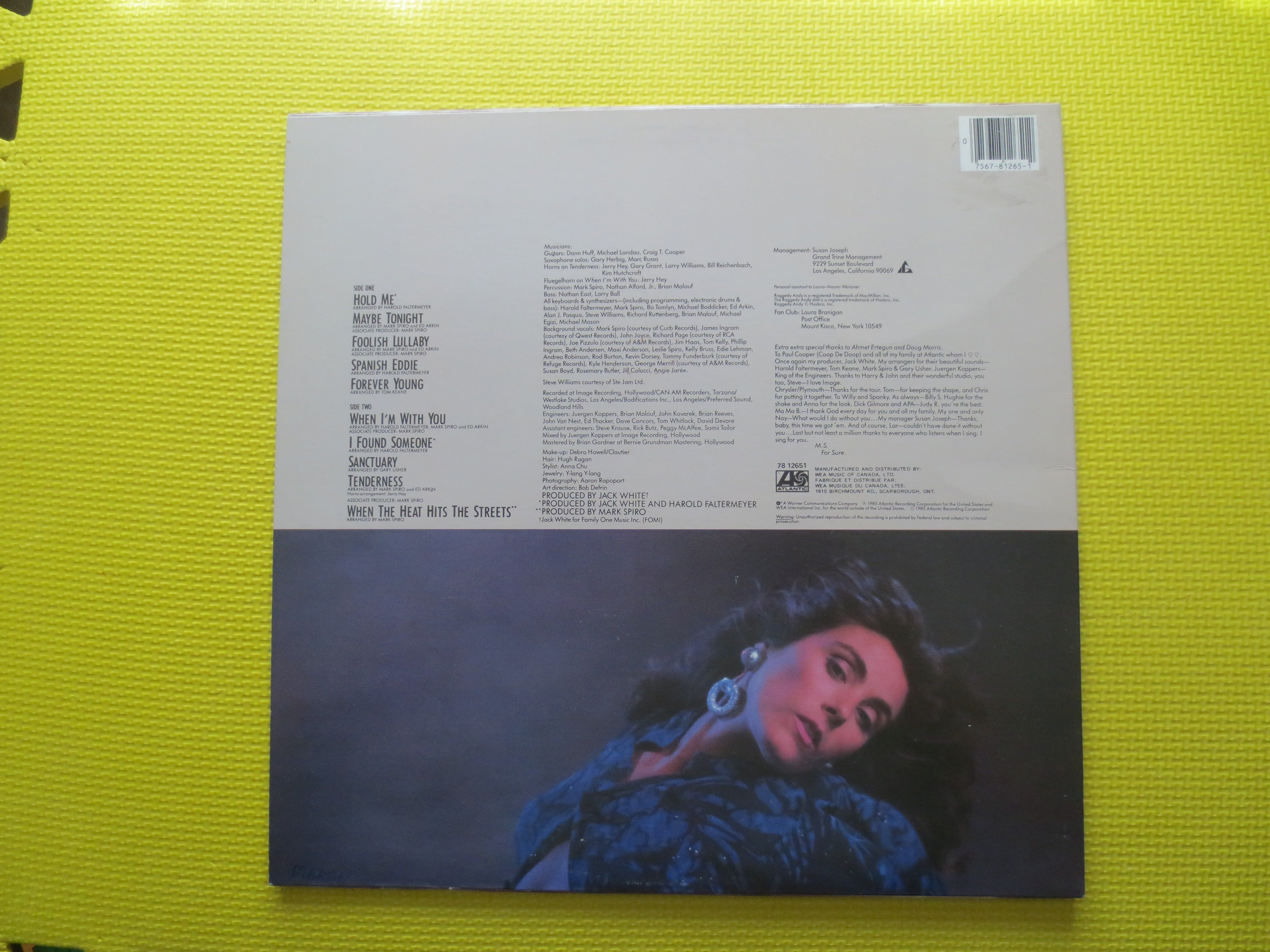 LAURA BRANIGAN, HOLD Me, Laura Branigan Album, Pop Records, Laura