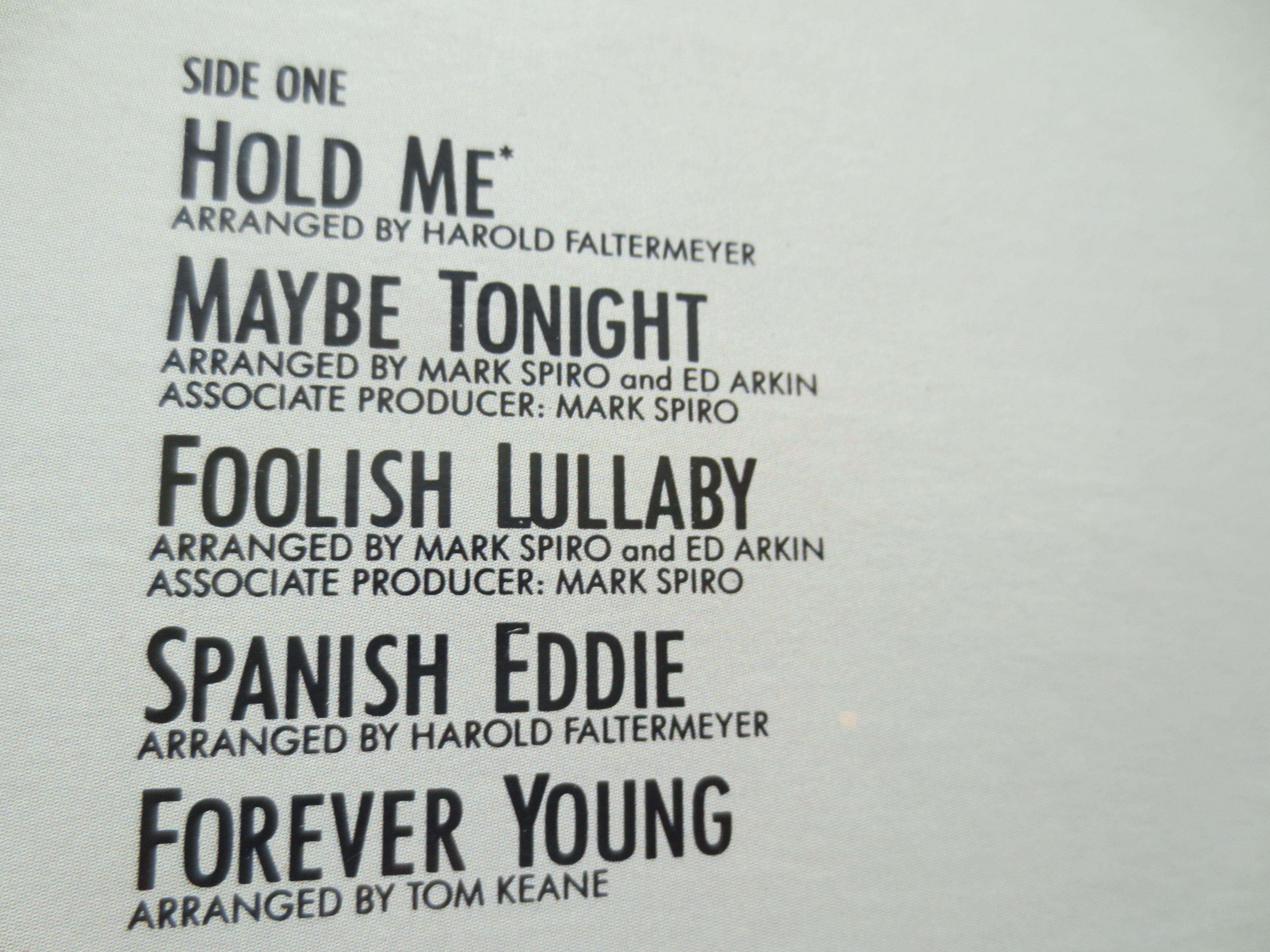 LAURA BRANIGAN, HOLD Me, Laura Branigan Album, Pop Records, Laura Branigan Lp, Vintage Vinyl, Record Vinyl, Vintage Records, 1985 Records