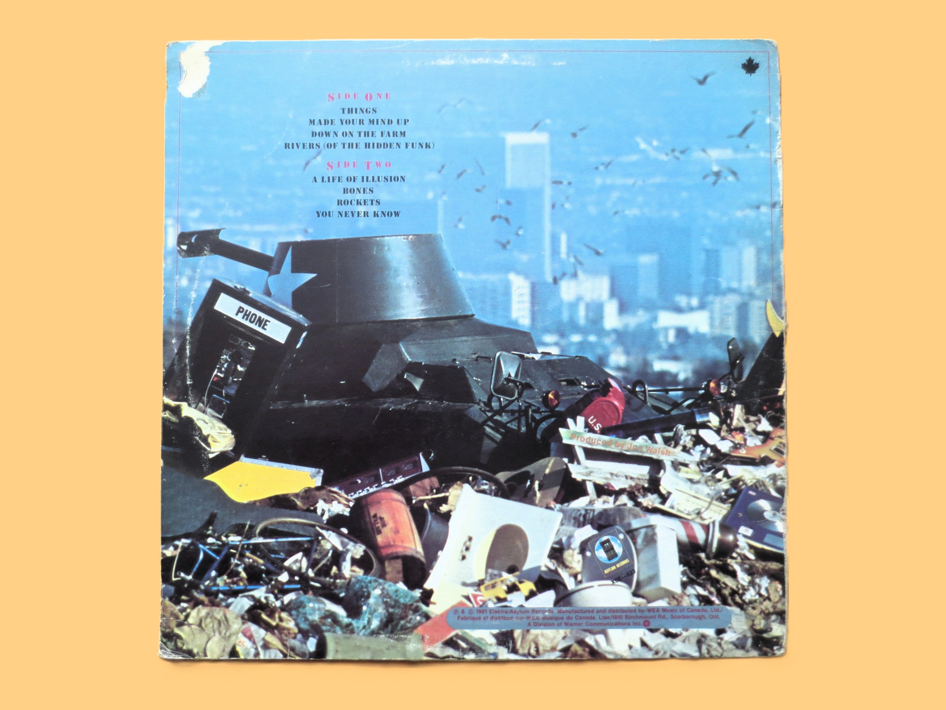 JOE WALSH, There Goes the Neighborhood, Vintage Album, 1981 Record, Vinyl Lp