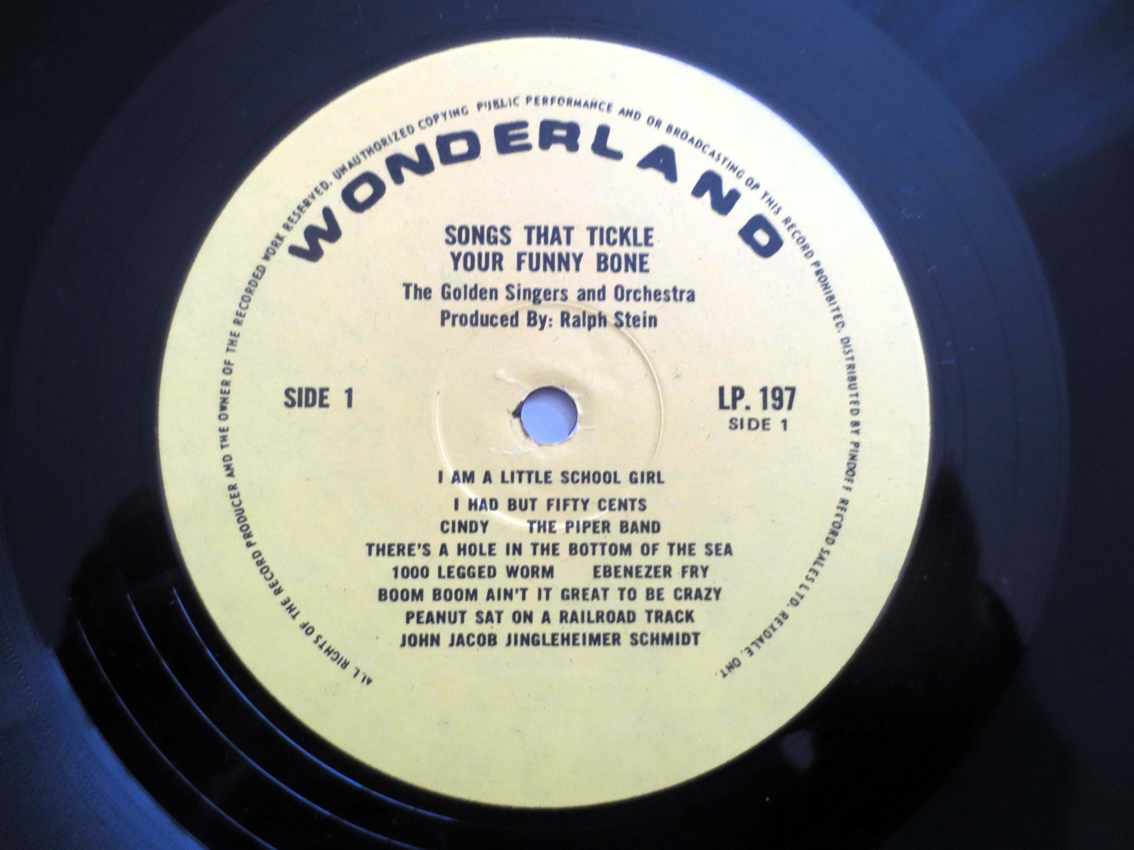 SONGS That TICKLE your FUNNY Bone, Vintage Album, 1973 Record, Vinyl Lp