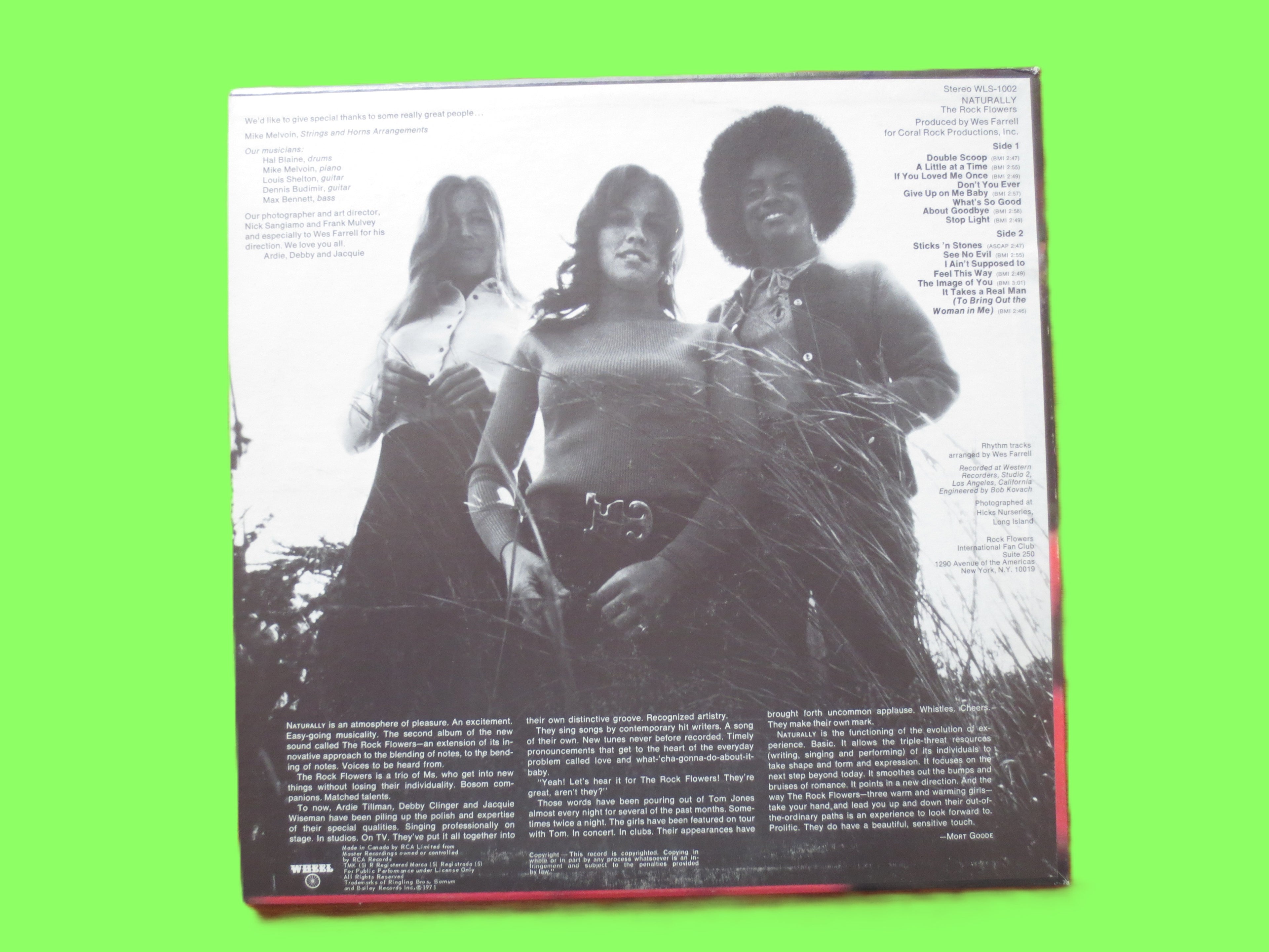 The Rock Flowers – Naturally (1972) Vinyl LP
