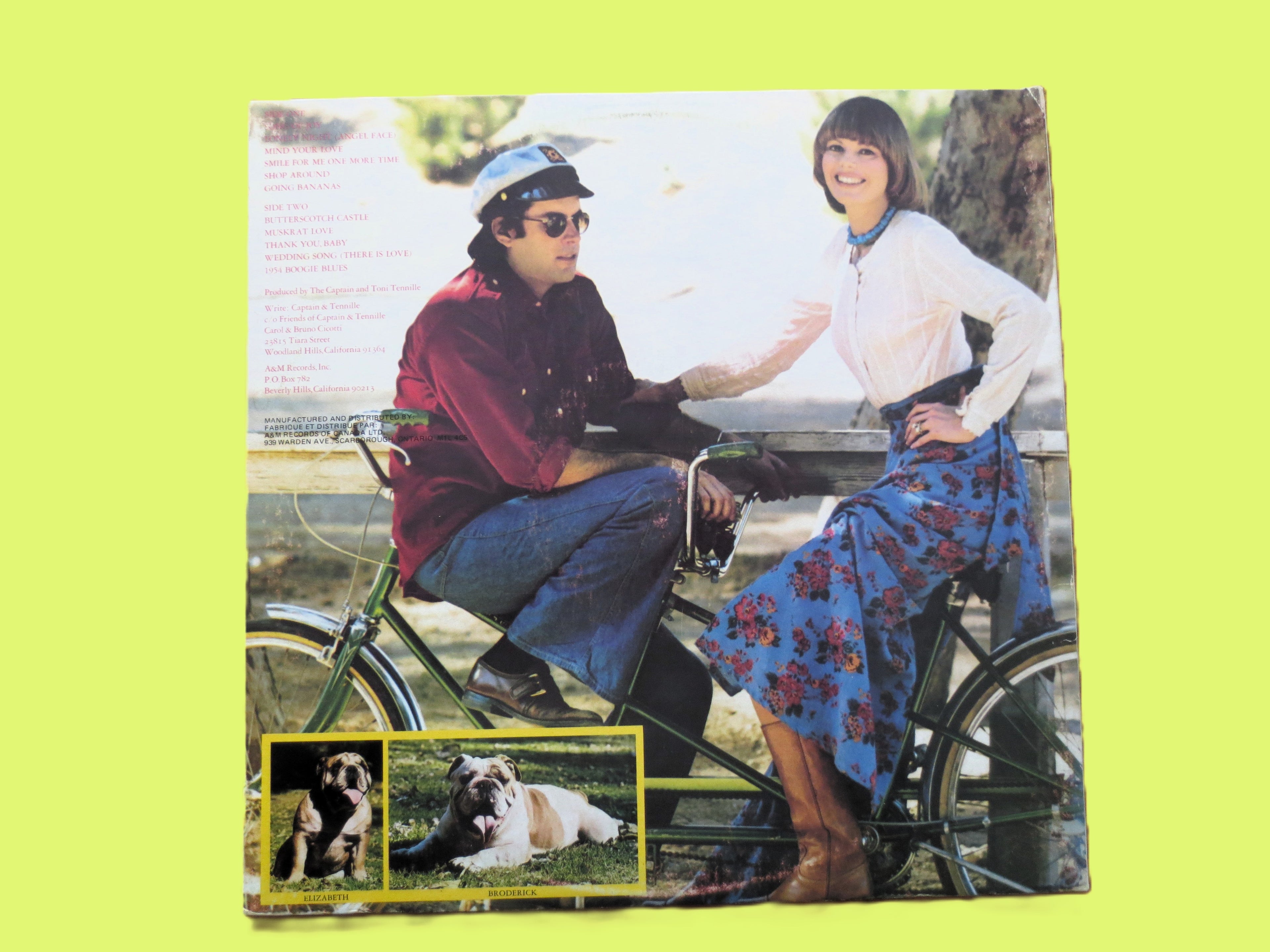 Captain & Tennille – Song of Joy (1976) Vinyl LP