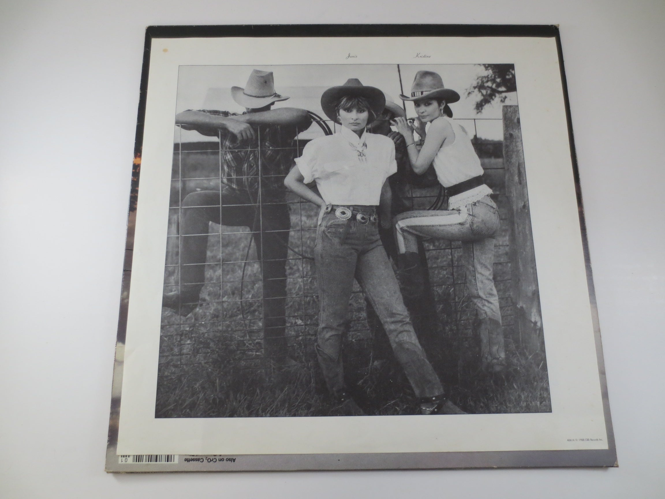 Sweethearts of the Rodeo – One Time One Night (1988) Vinyl LP
