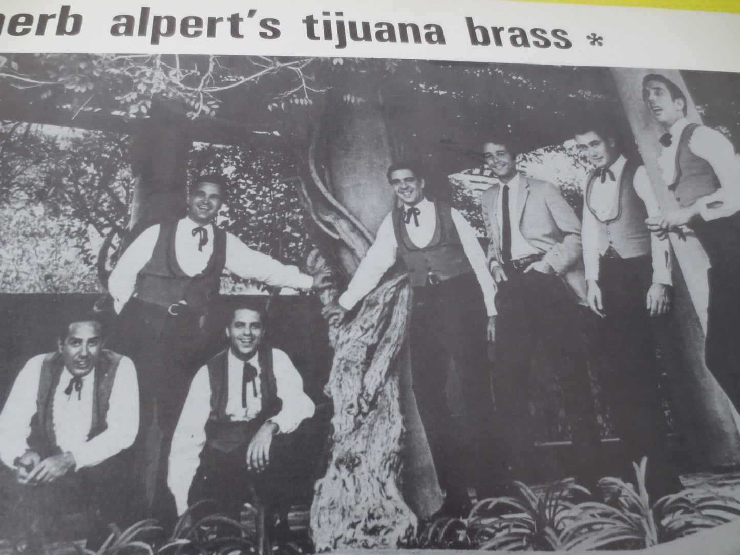HERB ALPERT, WHIPPED Cream, Herb Alpert Record, Herb Alpert Album, Herb Alpert Vinyl, Herb Alpert Lp, Vintage Vinyl, Vintage Records, 1965 Records