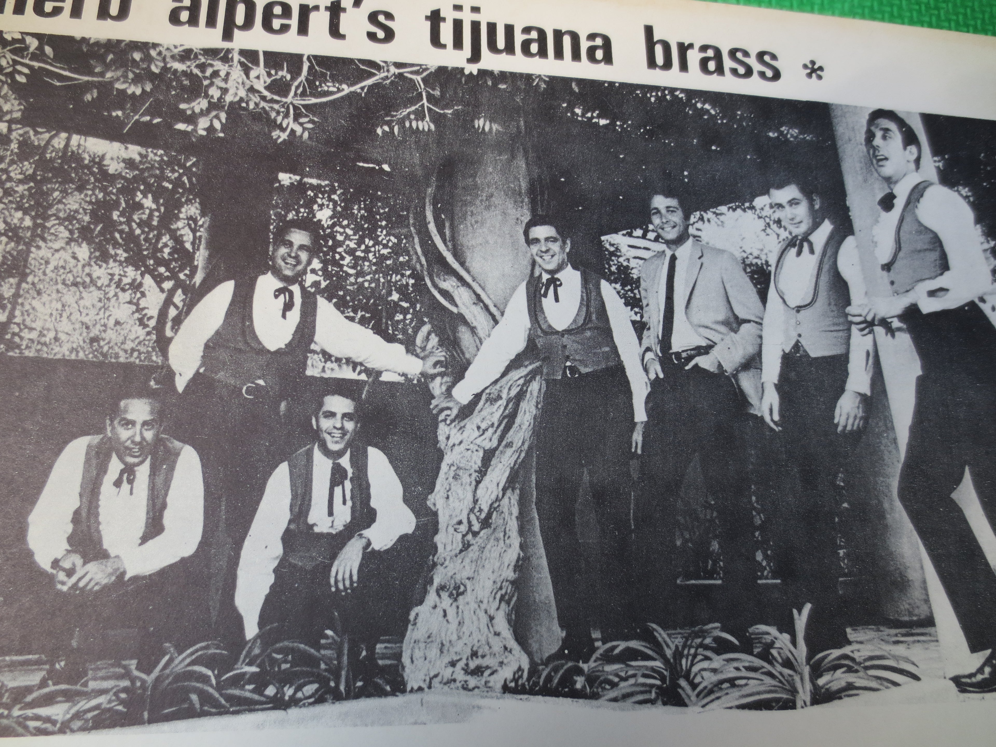 HERB ALPERT & The Tijuana Brass, The Lonely Bull, Vintage Album, 1962 Record, Vinyl Lp