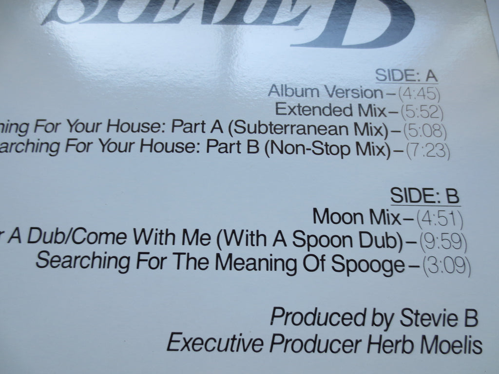 STEVIE B, GIRL I Am SEARCHING, Stevie B Album, Stevie B Record, Stevie B Music, Stevie B Vinyl, Stevie B Lp, 1989 Records