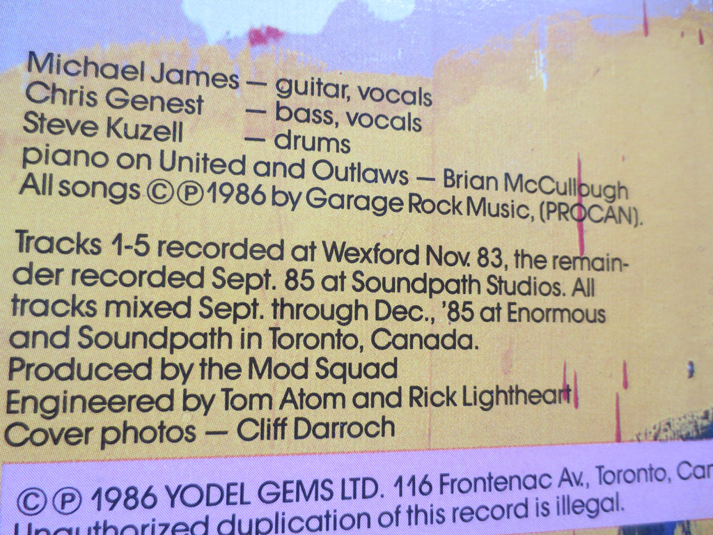 The YOUNG LIONS, WELCOME to the Freak Show, Young Lions Record, Young Lions Lp, Young Lions Album, Punk Rock, 1986 Records