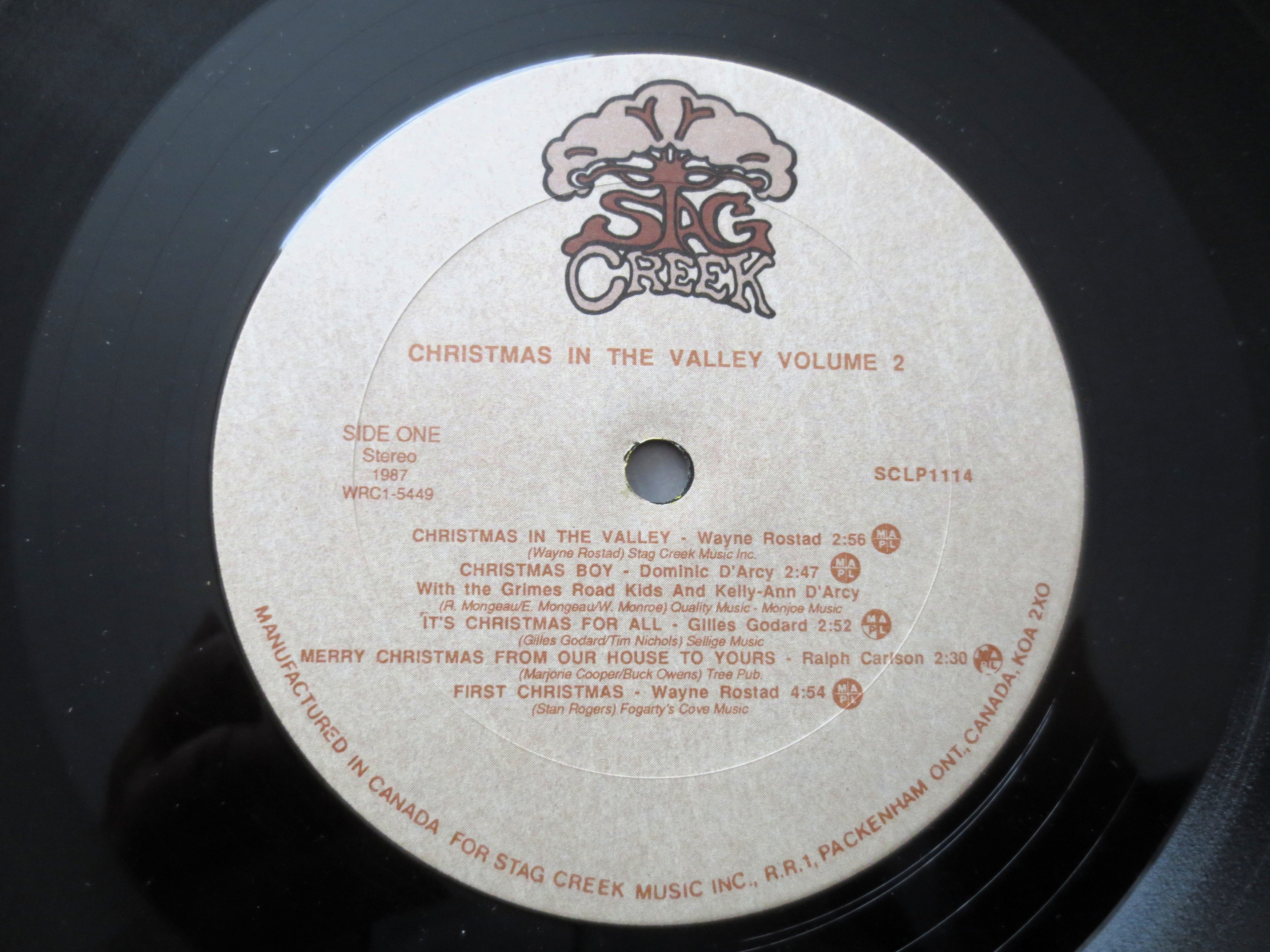WAYNE ROSTAD, CHRISTMAS in the Valley, Vintage Album, 1988 Record, Vinyl Lp