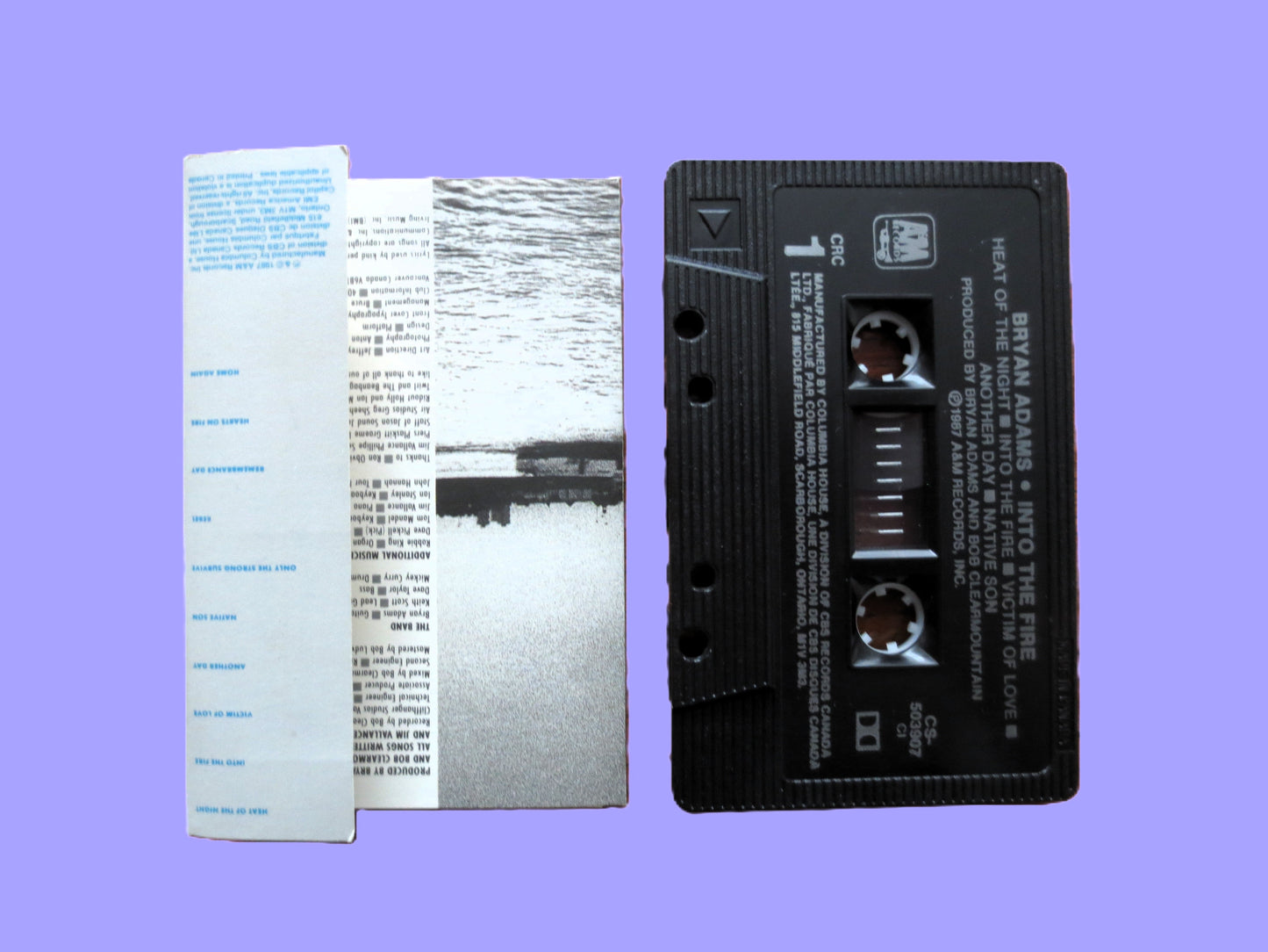 BRYAN ADAMS, Into The FIRE, 1987 Cassette Tape, Vintage Cassette