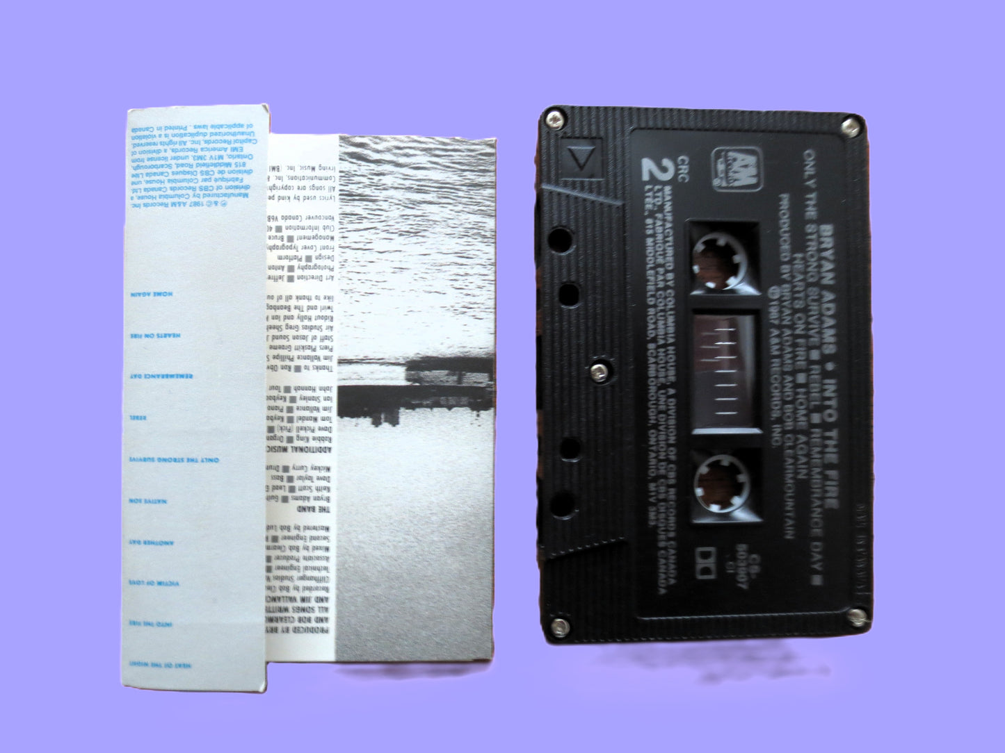 BRYAN ADAMS, Into The FIRE, 1987 Cassette Tape, Vintage Cassette