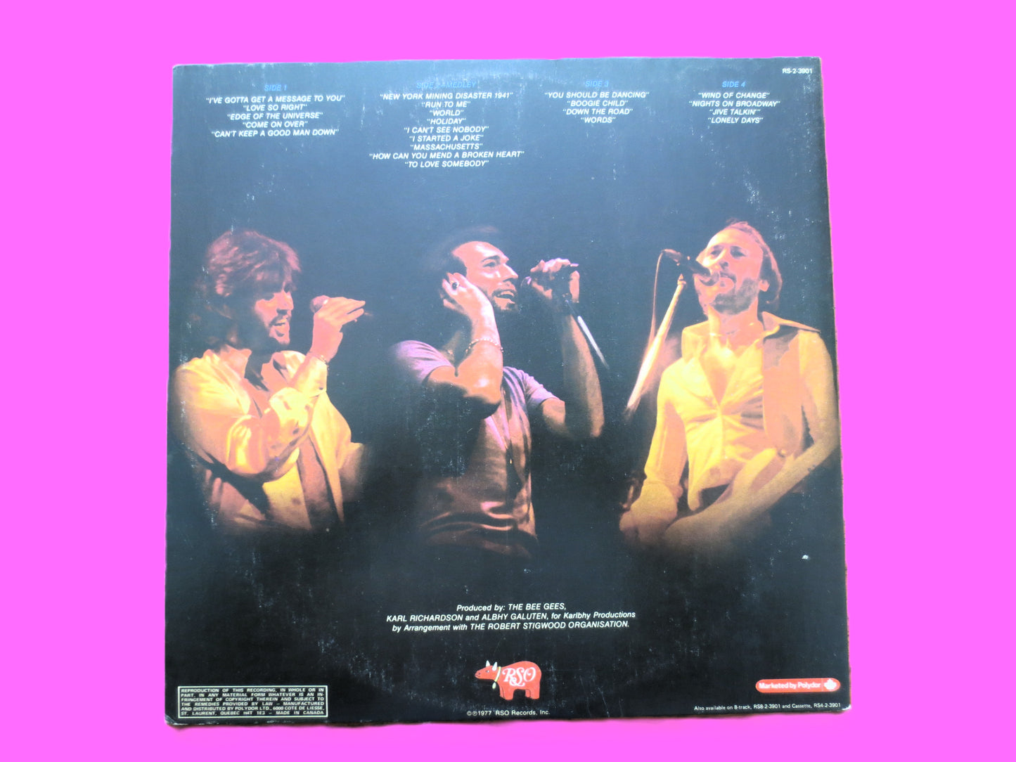 The BEE GEES, LIVE, Double Album, 1977 Record, Vinyl Lp