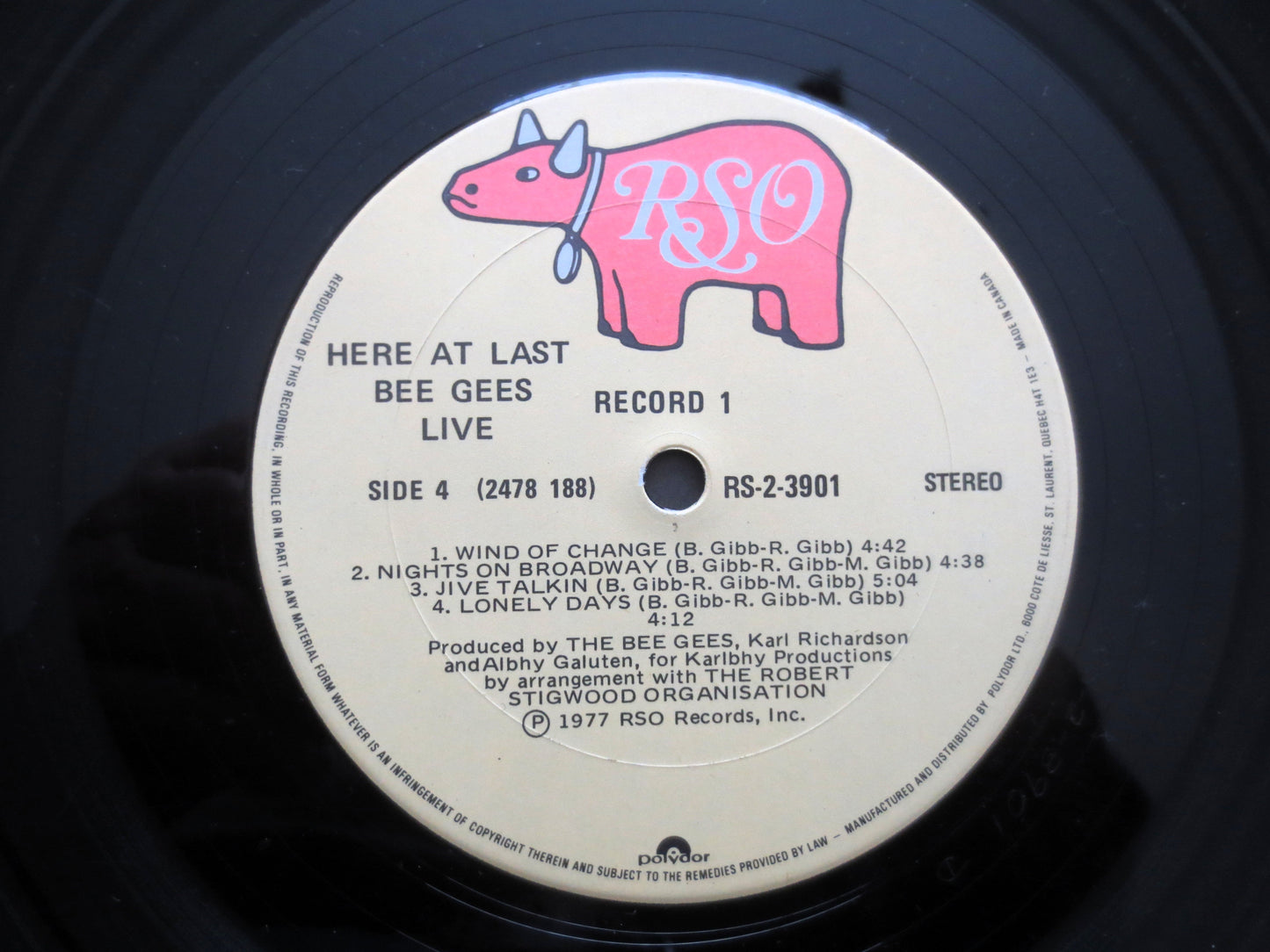 The BEE GEES, LIVE, Double Album, 1977 Record, Vinyl Lp