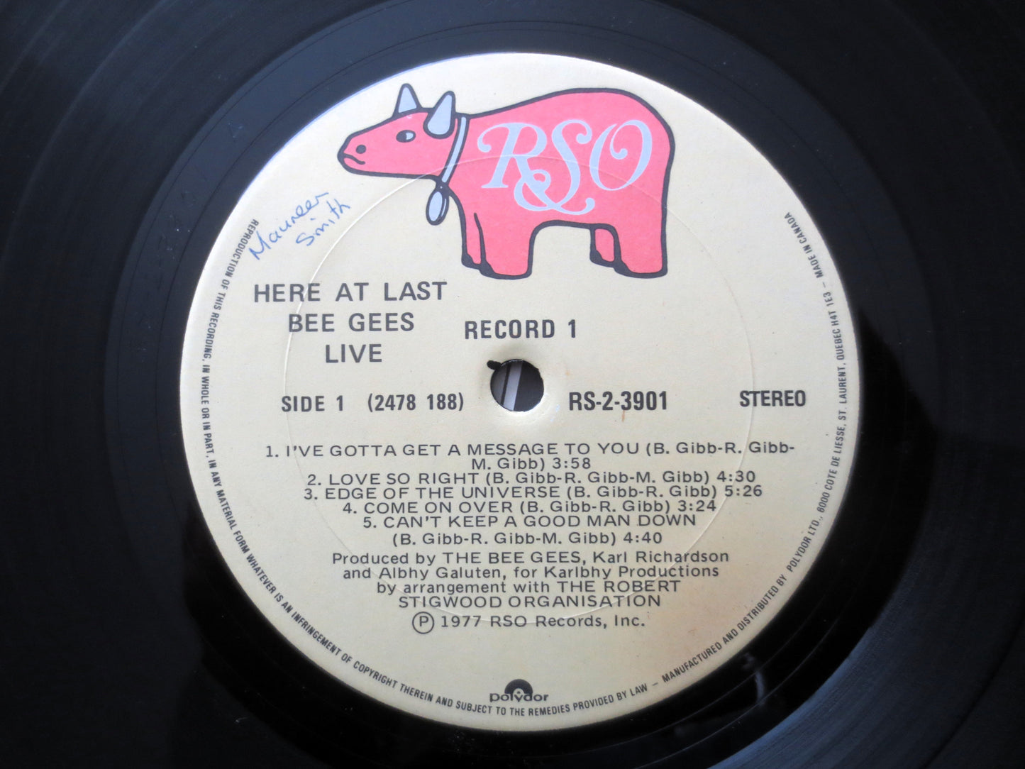 The BEE GEES, LIVE, Double Album, 1977 Record, Vinyl Lp